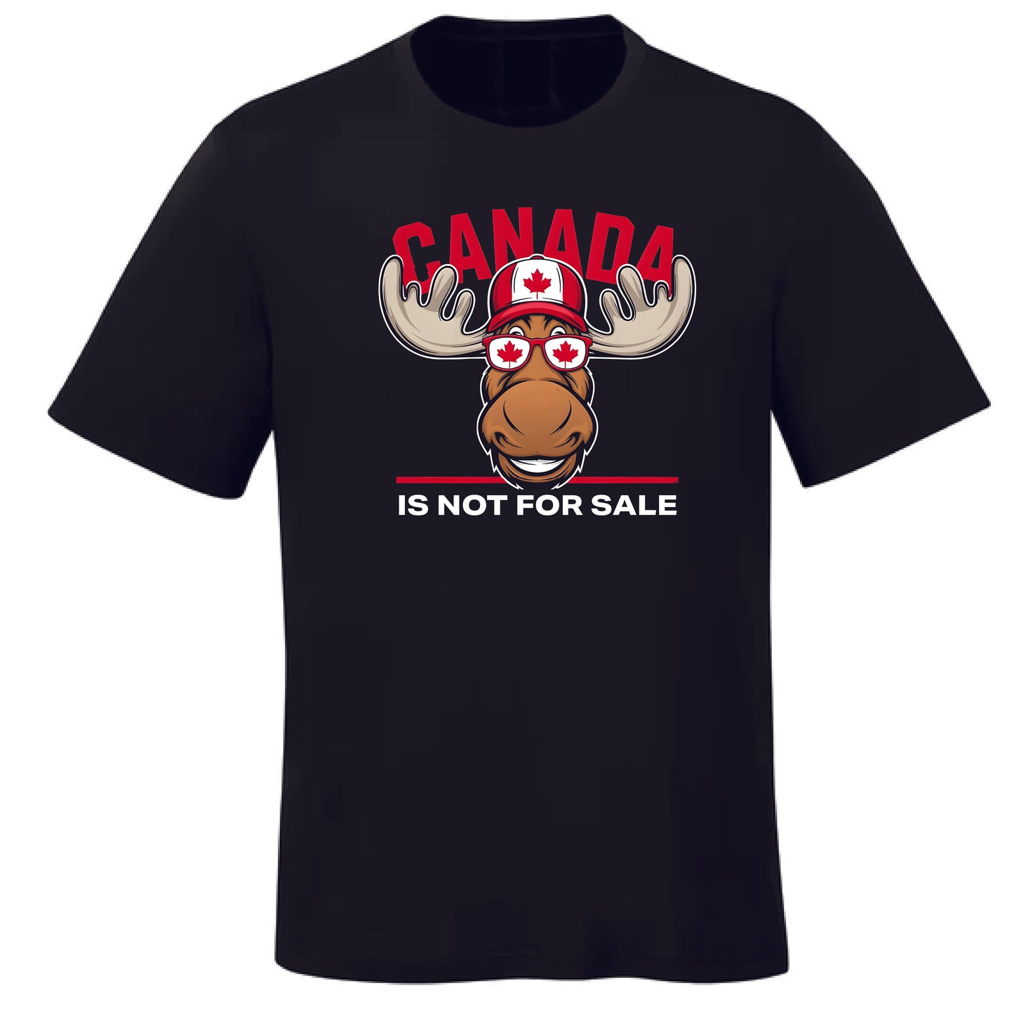 CINFS T-Shirt v5